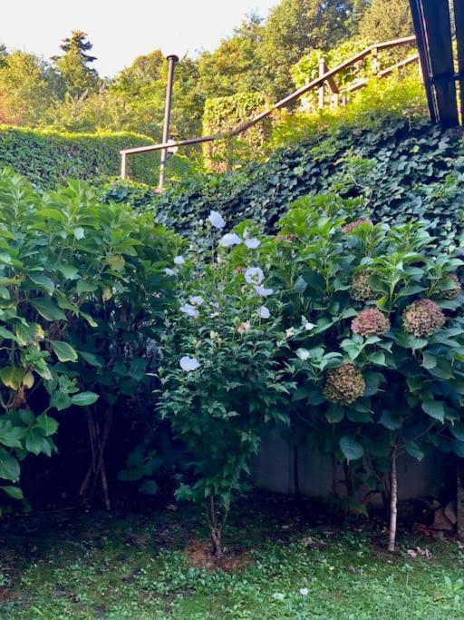 Villa Giardino Con Pontile Sul Lago D'Orta In Riva ออร์ตาซันจูลิโอ ภายนอก รูปภาพ